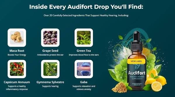 Audifort Audifort how to use image