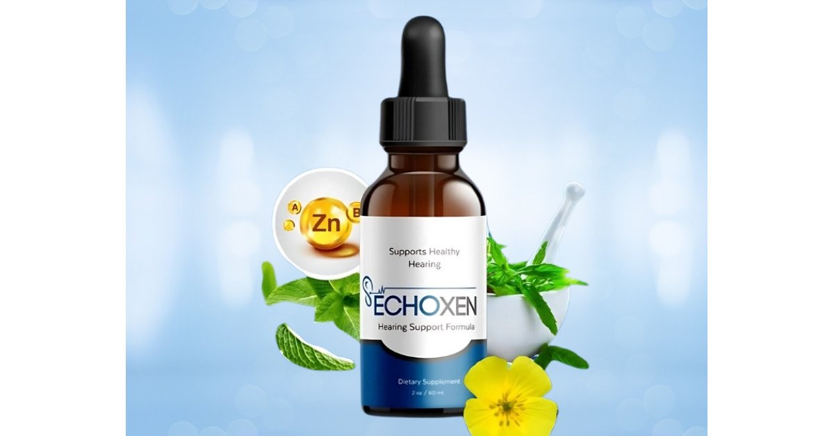 EchoXen intro image