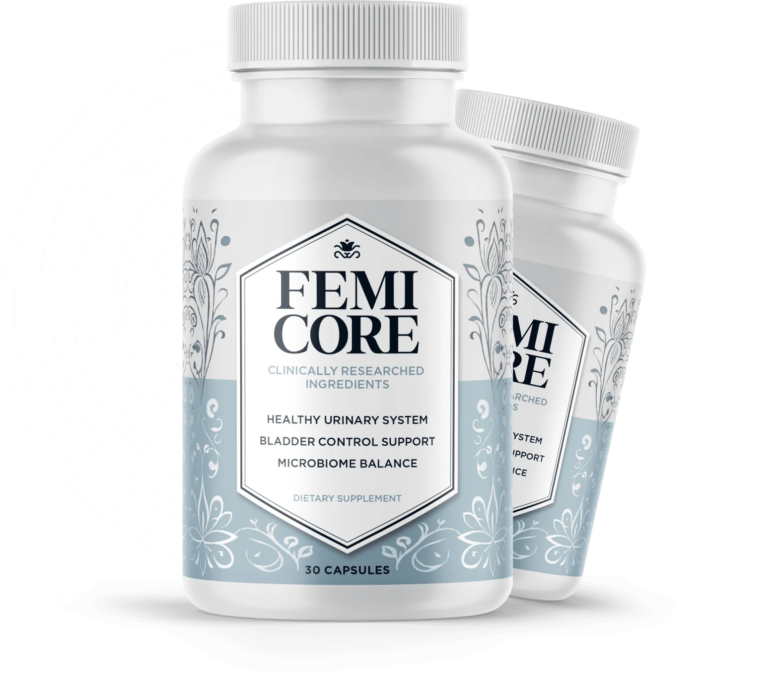 FemiCore how to use image