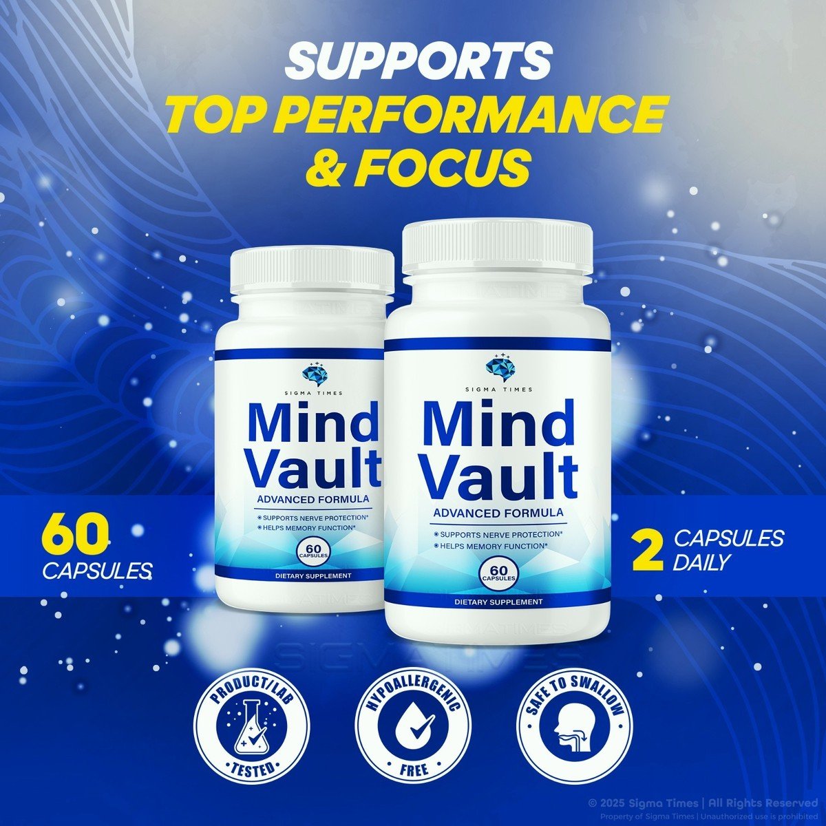 Mind Vault intro image