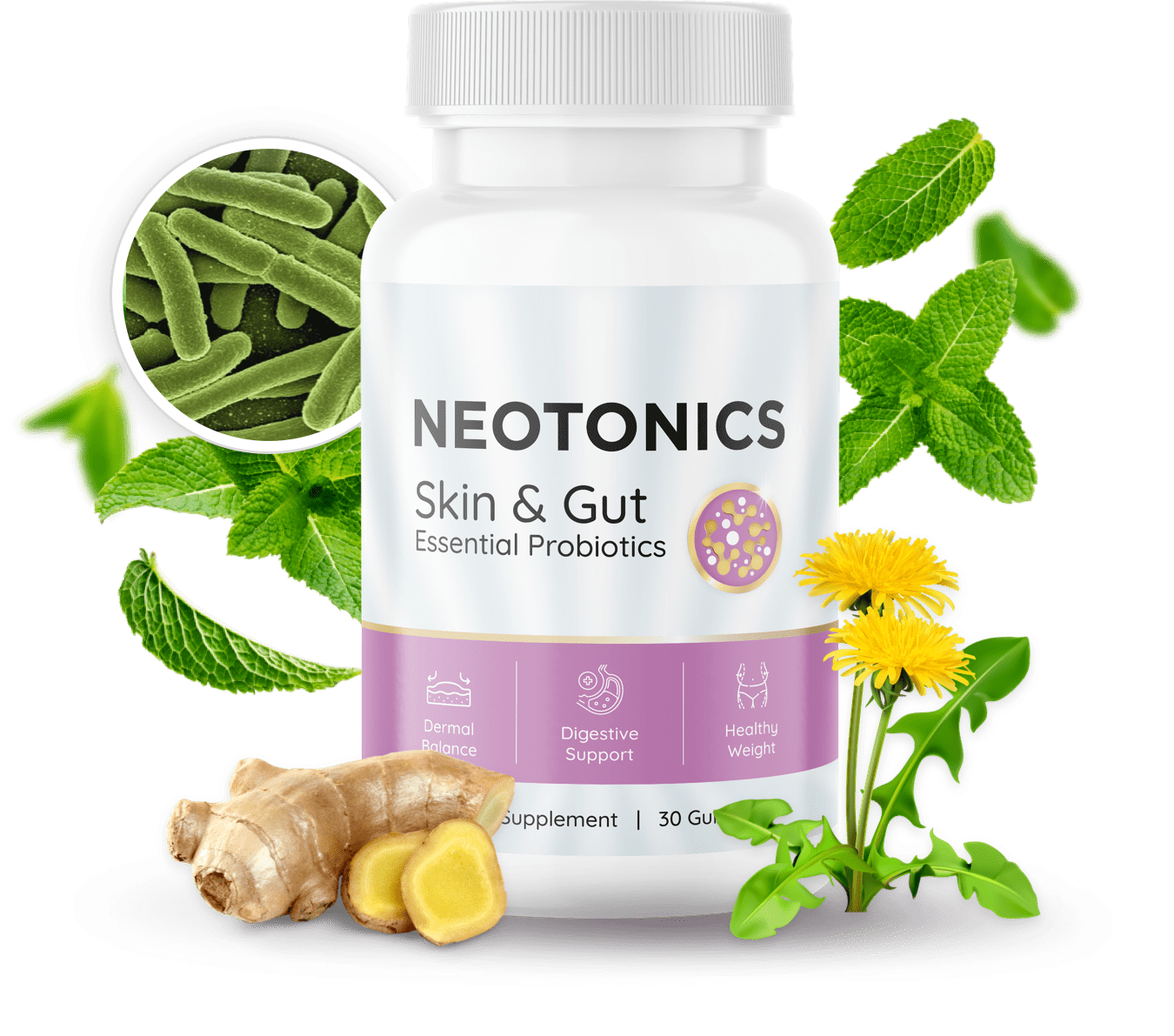 Neotonics how to use image