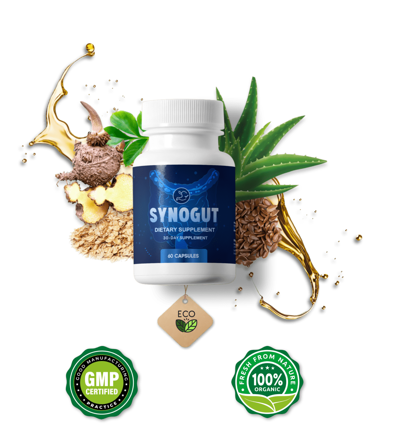 SynoGut SynoGut how to use image